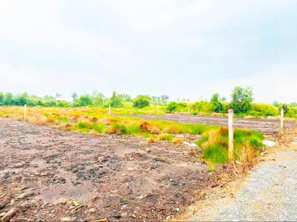 Đất vườn 3017m² xã Thạnh Hòa, Bến Lức chỉ 3.39 tỷ - Đầu tư sinh lời ngay!