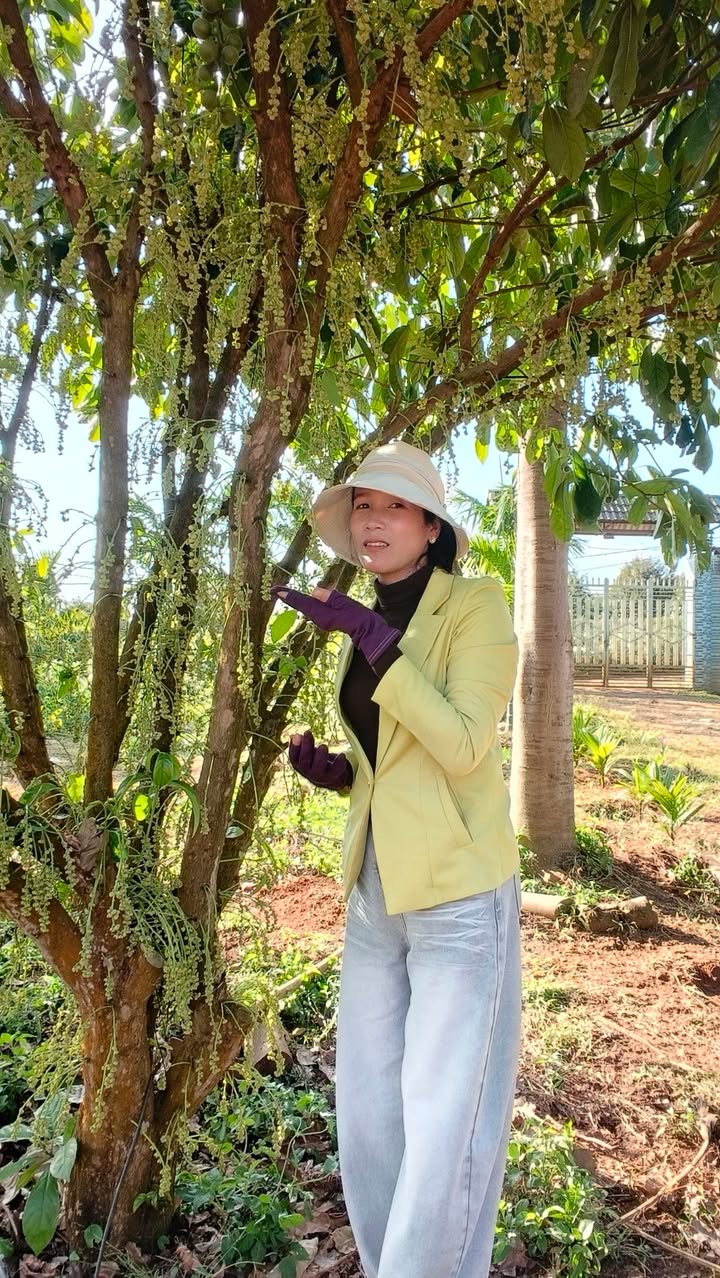 Đất nền 2 sào tại xã Quảng Hiệp, huyện Cư M'gar - Giá chỉ 550 triệu, cơ hội đầu tư tuyệt vời!