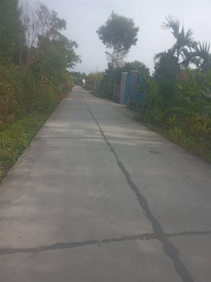 Đất nền xã Nam Chính, huyện Đức Linh 485m² giá 430 triệu - Sổ đỏ chính chủ, chốt nhanh bớt lọc!