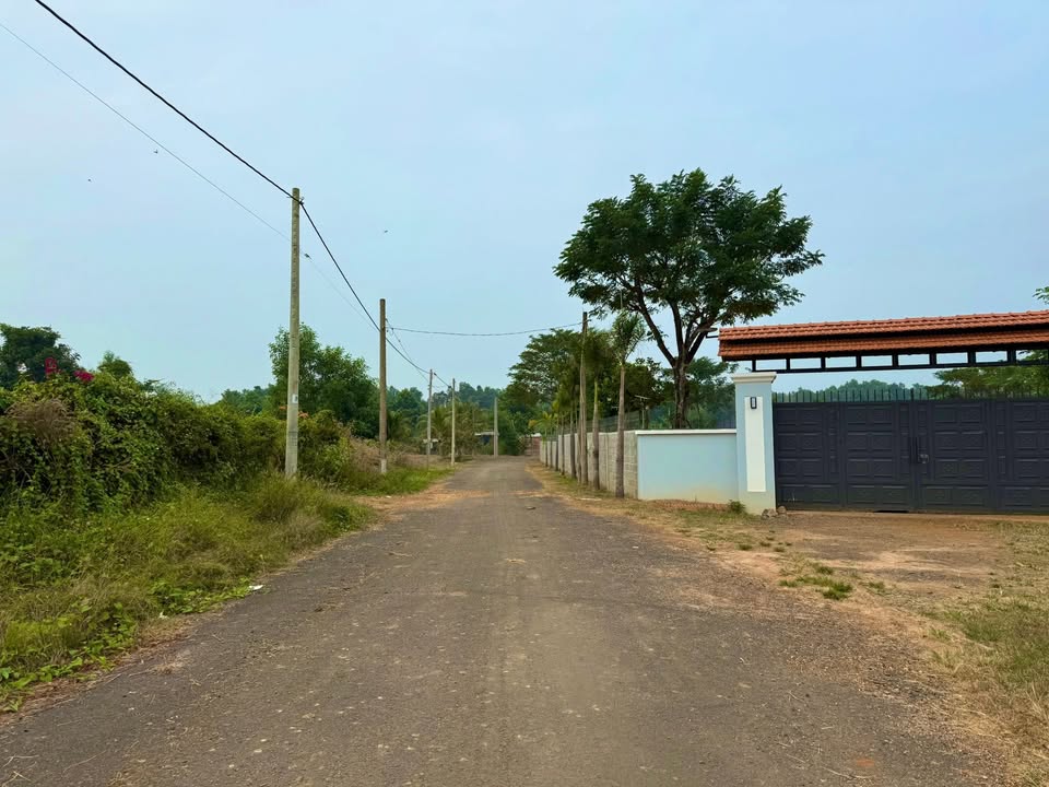 Đất 1000m² tại Xã Phước Thuận, Huyện Xuyên Mộc - Giá chỉ 950 triệu!