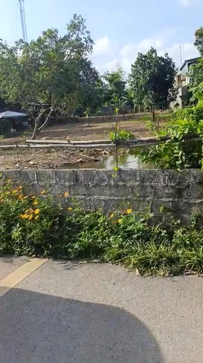 Đất nền Vườn Chanh, Tam Điệp 1000m² giá 3 tỷ - Cơ hội đầu tư tuyệt vời!