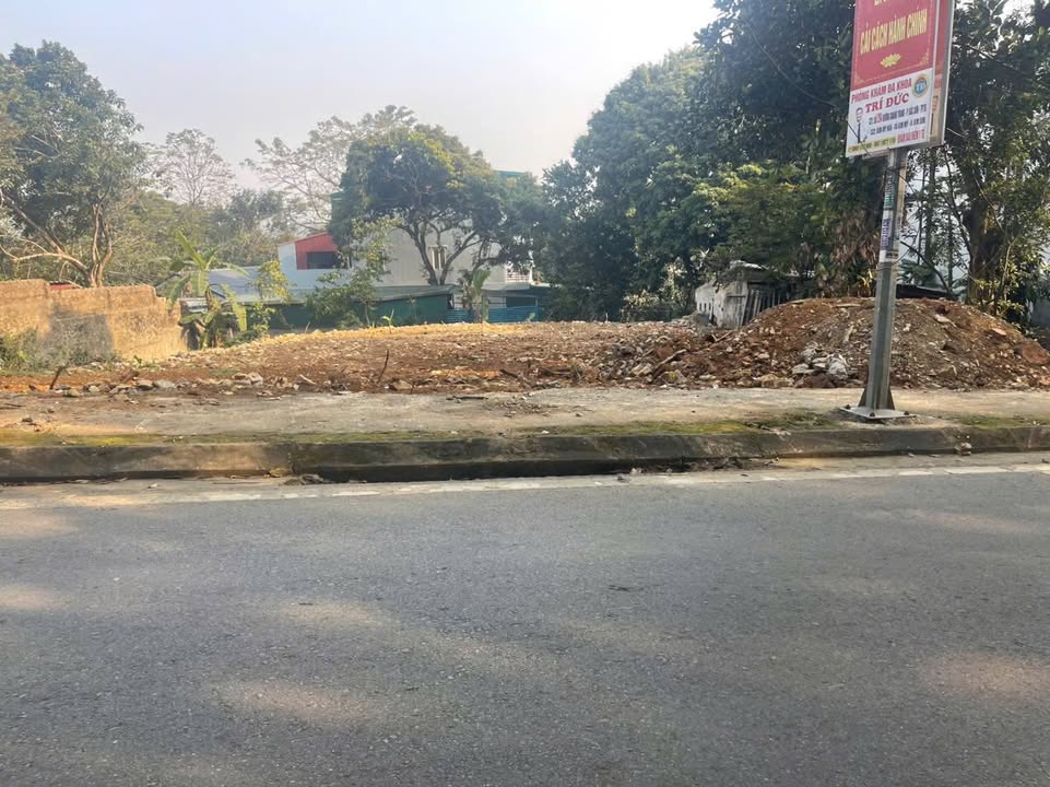 Đất liền kề Trần Hưng Đạo, Ninh Bình 147m² giá 3.6 tỷ - Đầu tư sinh lời ngay!