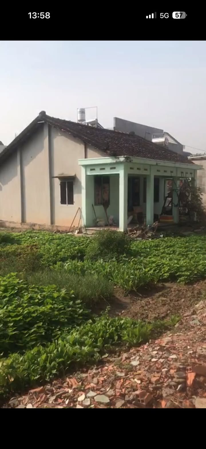 Đất thổ cư 730m² xã Tân Thạnh Đông, Củ Chi giá 2.85 tỷ - Cơ hội đầu tư hấp dẫn!