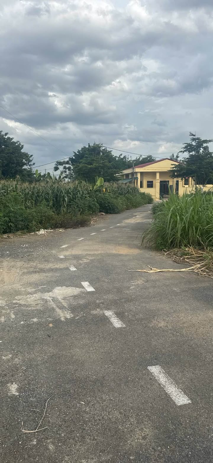 Đất thổ cư 80m² thôn Phúc Tiến, Chương Mỹ giá nhỉnh 3 tỷ - Đường thông ô tô tránh nhau!