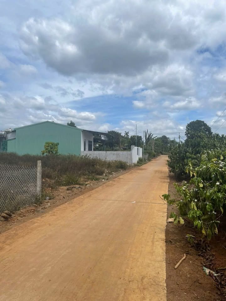 Đất nền hẻm chính Biển Hồ 140m² giá chỉ 220 triệu - View đẹp, mát mẻ!