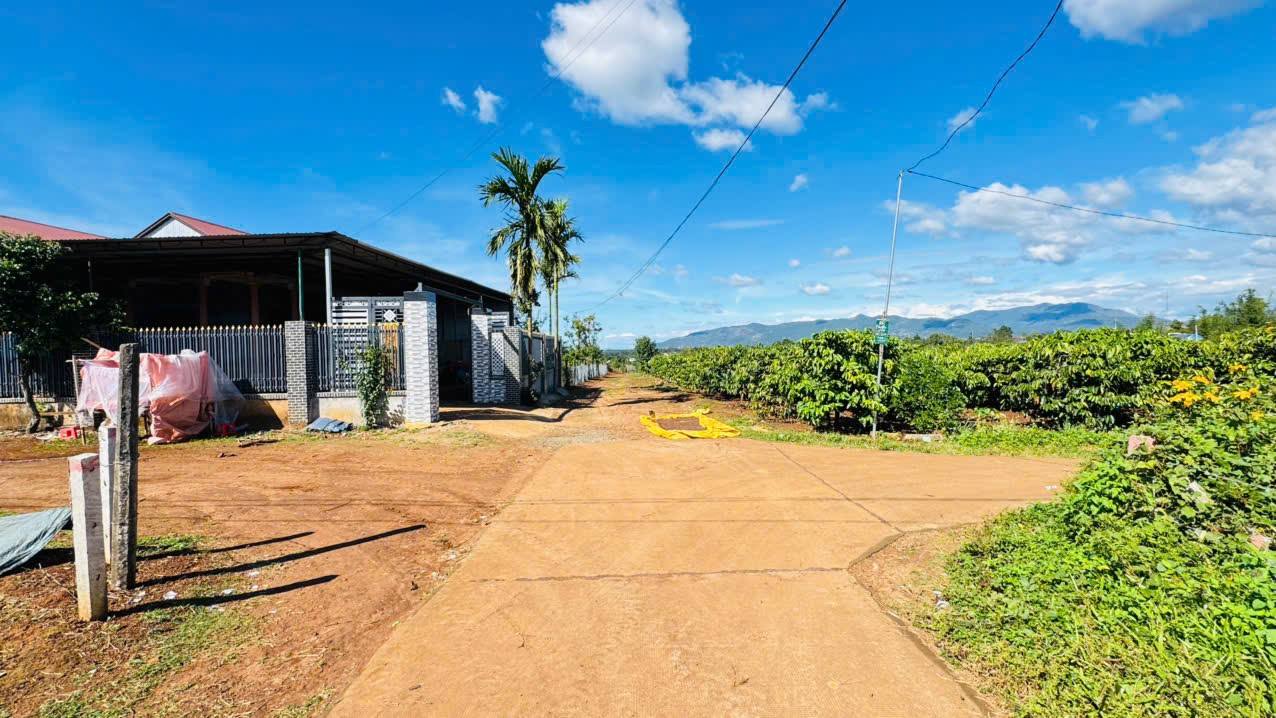 Đất nền hẻm Trần Văn Ơn 280m² giá 3.5 tỷ - Pháp lý rõ ràng, sẵn sàng xây dựng!