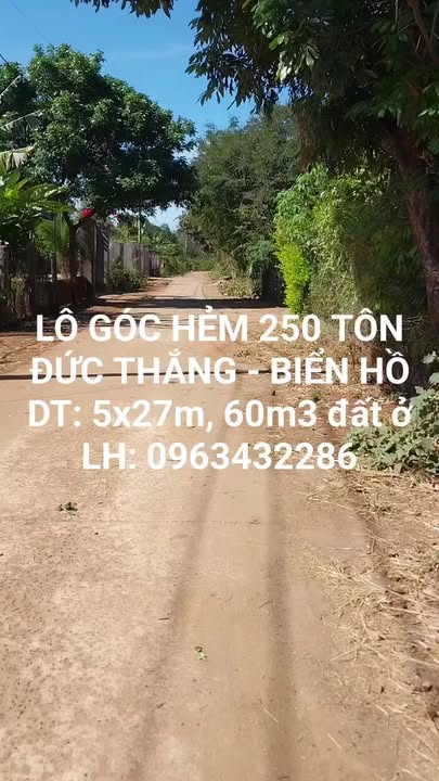 Đất nền Khu Du lịch Biển Hồ 135m² giá 600 triệu - Tiềm năng đầu tư cao!