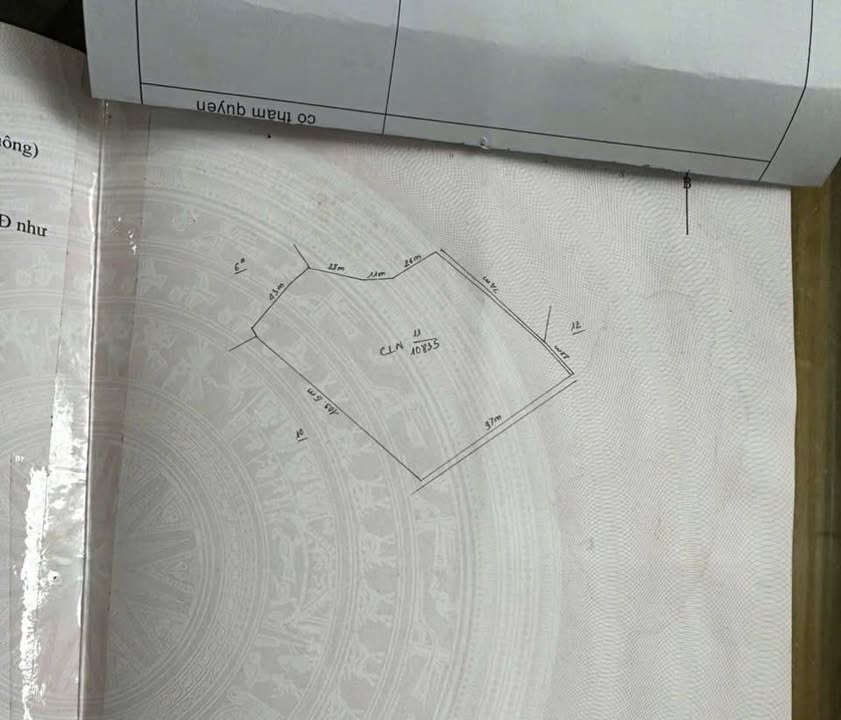 Farm 1,1ha xã Ia Krái, Gia Lai giá 2,5 tỷ - Kinh doanh cà phê bám hồ tự nhiên!