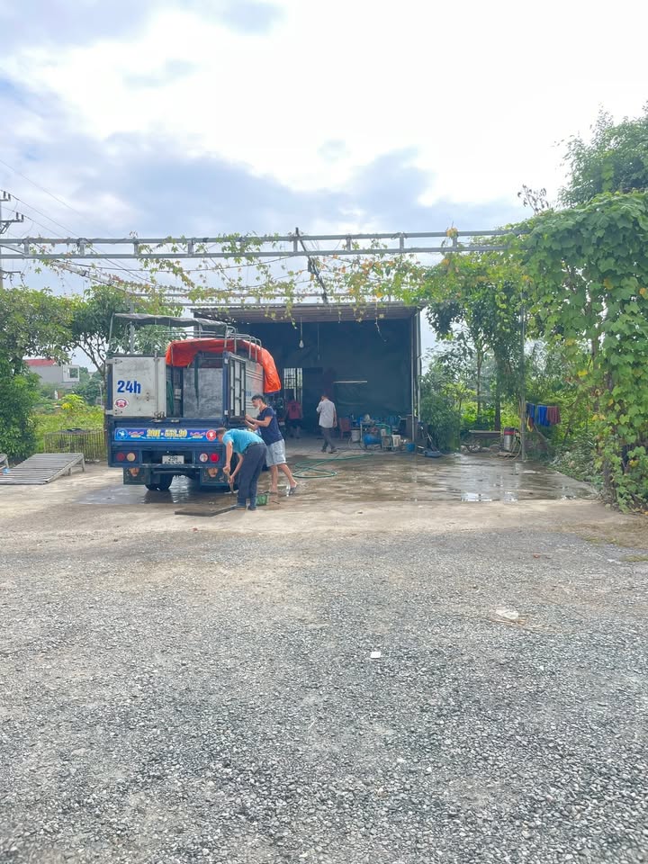 Đất kinh doanh mặt đường TL421b tại Đông Thượng, 117m² - Pháp lý rõ ràng, sẵn sàng cho thuê!