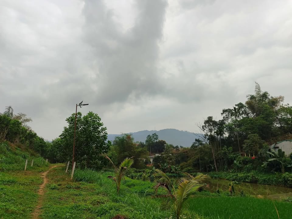 Đất nền Khang Mời Yên Mông Phú Thọ 5400m² giá 3.x tỷ - Đường bê tông vào tận đất!