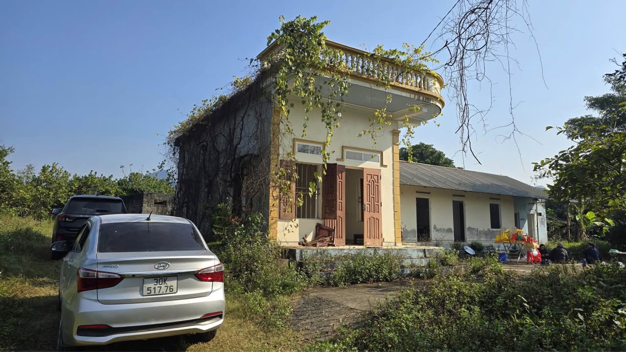 Đất vườn 2,3 ha tại xã An Bình, Hòa Bình - Tiềm năng đầu tư lớn!