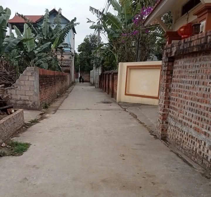 Đất thổ cư 87m² xã Phụng Thượng, Huyện Phúc Thọ - Giá chỉ 2 tỷ, mặt tiền rộng rãi!