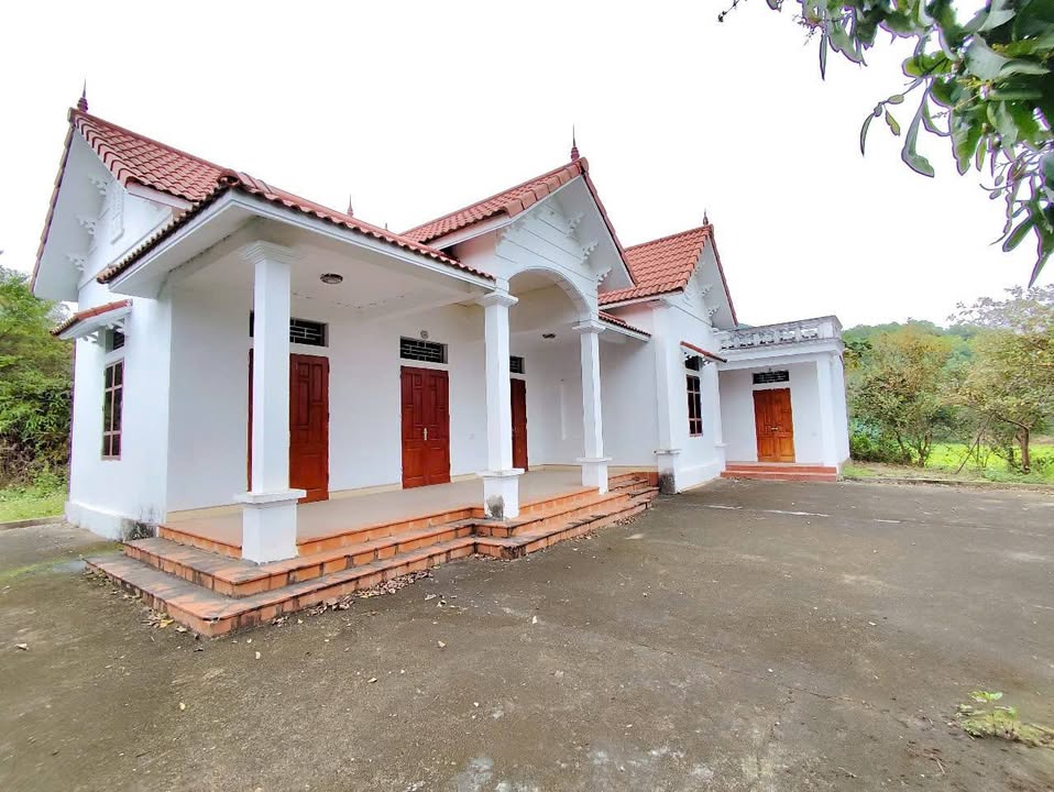 Bán lô đất Ngọc Đồng, Yên Lập 6500m² giá 4.x tỷ - Cơ hội đầu tư tuyệt vời!