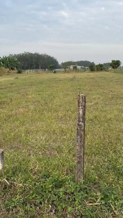 Đất mặt tiền đường Đá KP.An Thới 300m² giá 1.3 tỷ - Đầu tư sinh lời cao!