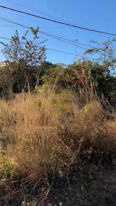 Đất nền mặt tiền QL14A, xã Ia Le, 6000m² giá 8.22 tỷ - Cơ hội đầu tư hấp dẫn!