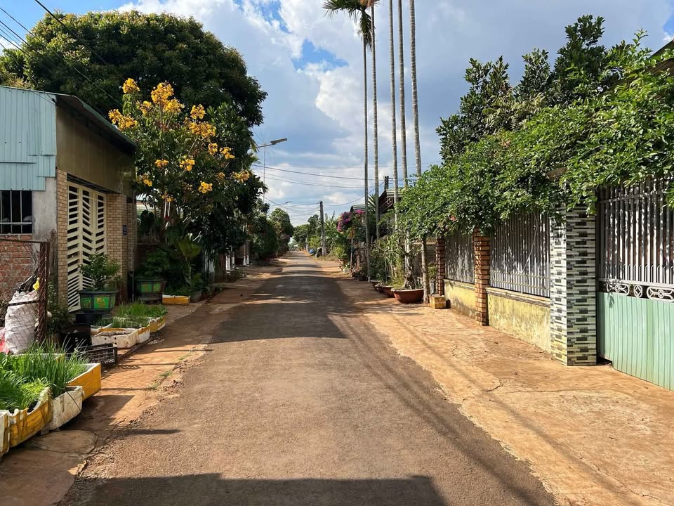 Đất nền mặt tiền Nguyễn Huy Tưởng, Ninh Sơn 225m² giá chỉ 695 triệu - Đầu tư sinh lời ngay!