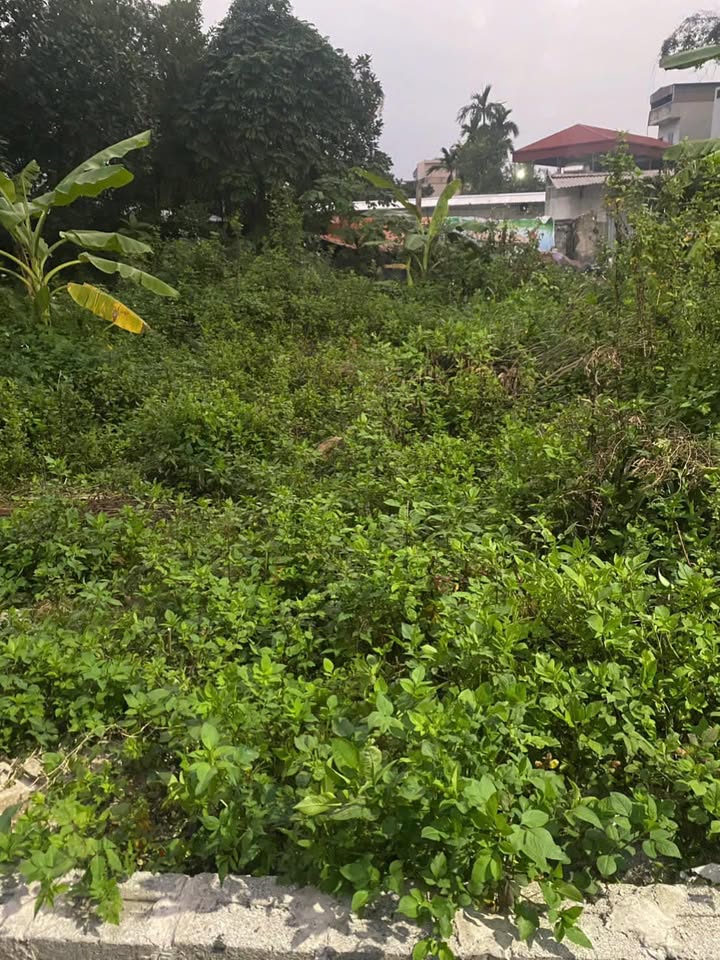 Đất nền Phường Thanh Châu, 59m², giá chỉ 1 tỷ - Đường ô tô vào tận nơi!