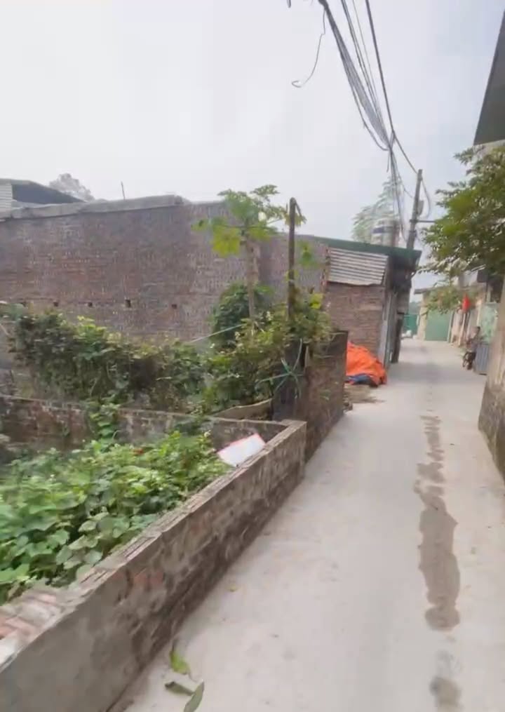 Đất nền Đông Mỹ, Thanh Trì 60.5m² giá chỉ 4 tỷ - Sổ đỏ chính chủ, pháp lý rõ ràng!