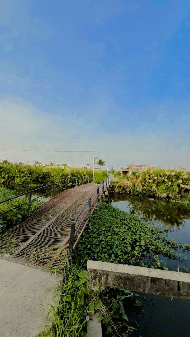 Đất nền Lê Hồng Phong nối dài 1950m² giá 150 triệu/m ngang - Sổ sẵn, đầu tư sinh lời!