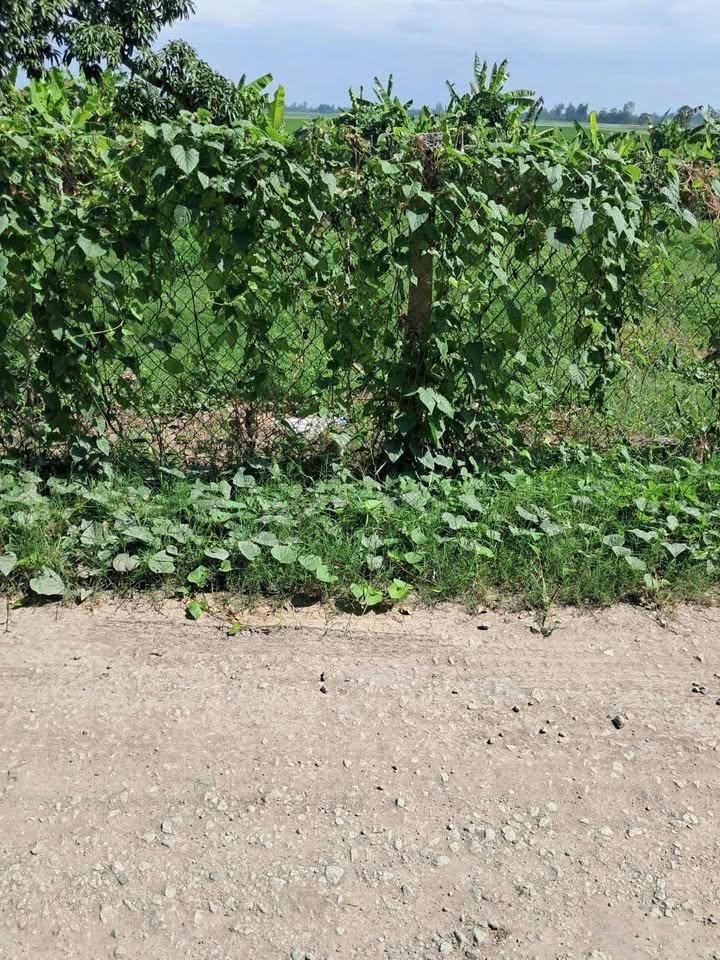 Đất nền 21 công tại Định Thành, Thoại Sơn - Mặt tiền 45m, giá hợp lý!