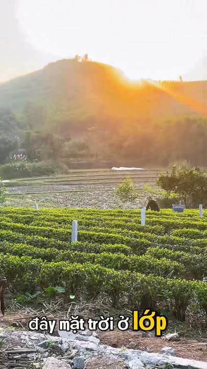 Đất nền Đồng Bốn, Tân Thành, Thái Nguyên 200m² chỉ 500 triệu - Cơ hội đầu tư tuyệt vời!