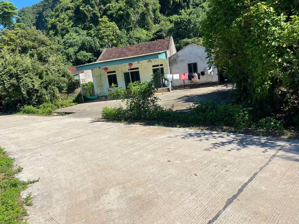 Đất thổ cư Lạc Lương 420m² giá 7xx triệu - Cảnh đẹp hữu tình, đầu tư lý tưởng!