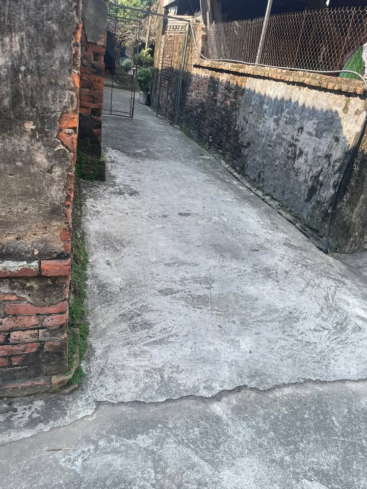 Đất nền 300m² xã Xuân Trúc, huyện Ân Thi - Giá chỉ 3 tỷ, cơ hội đầu tư tuyệt vời!