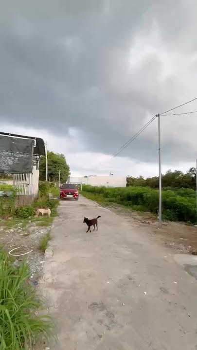 Nhà riêng xã Châu Pha 103m² giá 1.4 tỷ - Gần trung tâm Phú Mỹ!