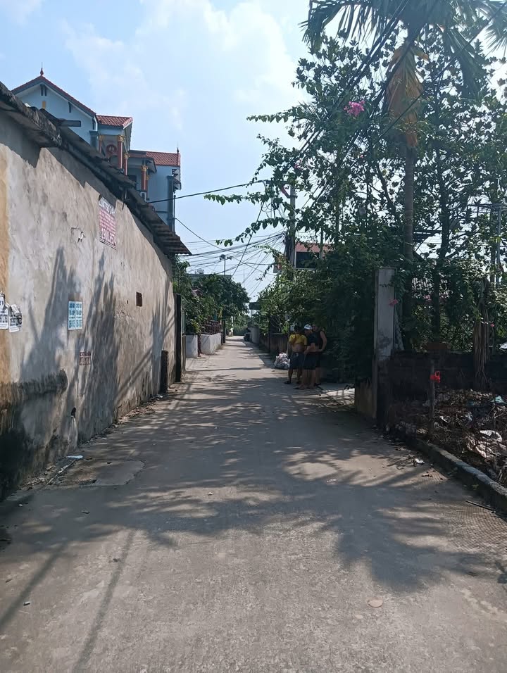 Đất lô góc Bộ Đầu, Thường Tín 47.8m² giá 2.05 tỷ - Đầu tư sinh lời hiệu quả!