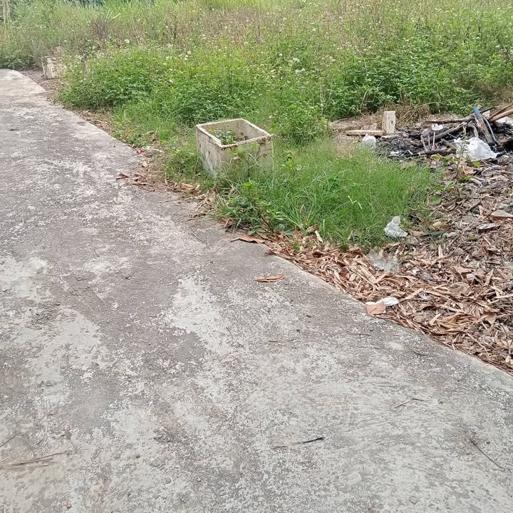 Đất nền xã Thanh Mai, Thanh Oai 50m² giá chỉ từ 2,1 tỷ - Cơ hội đầu tư hấp dẫn!