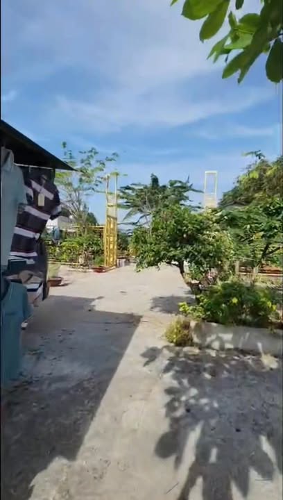 Đất mặt tiền Tỉnh Lộ 823, Đức Hòa, Long An 19800m² giá 14 tỷ - Cơ hội đầu tư tuyệt vời!