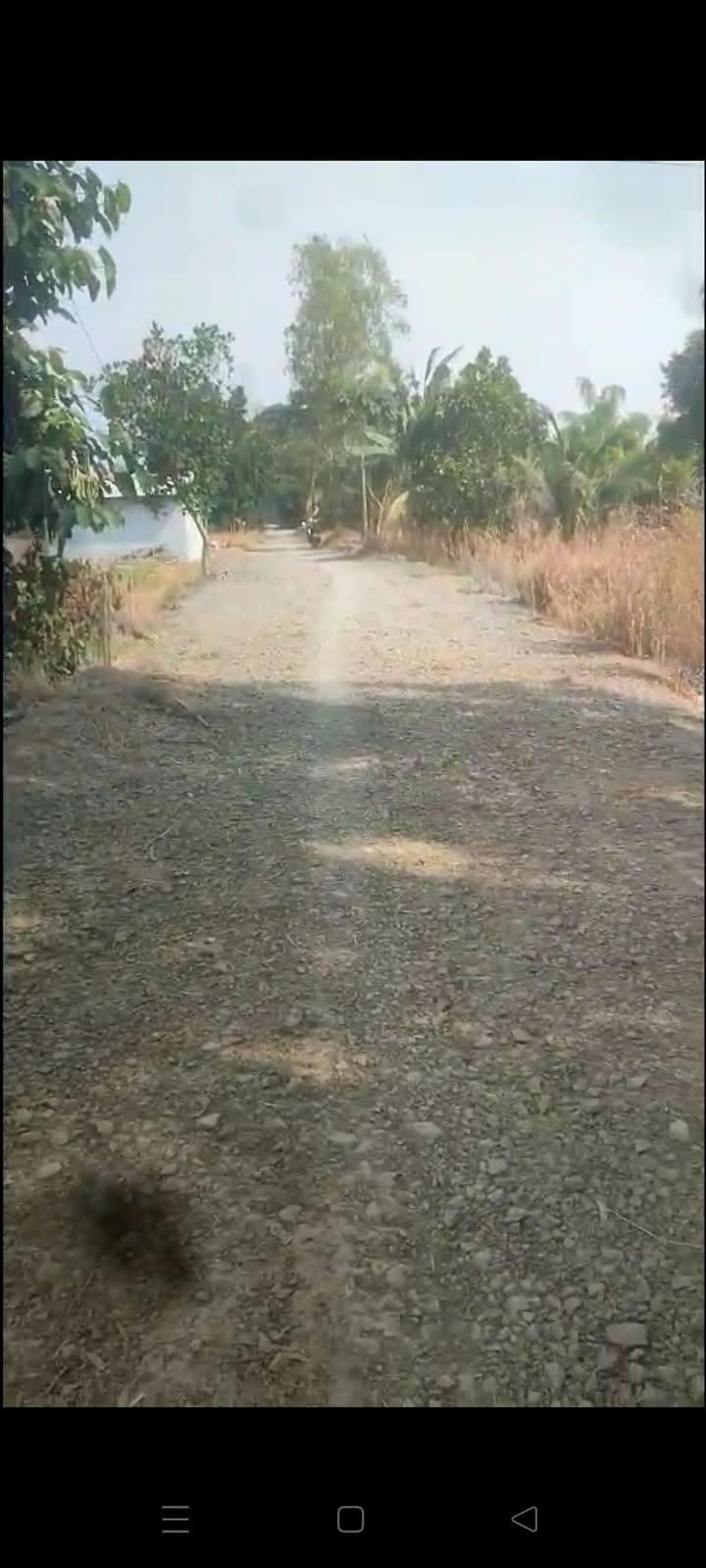 Đất Farm 50000m² tại Gáo Giồng, Cao Lãnh - Giá 1.25 tỷ - Mặt tiền 28m, đầu tư sinh lời!