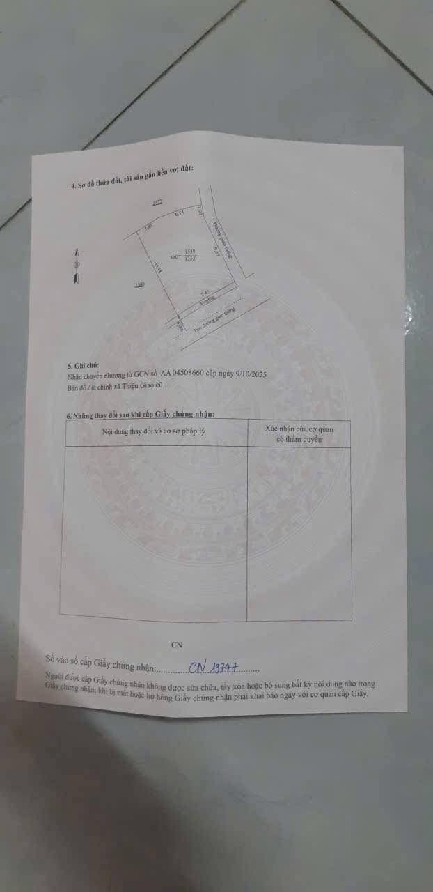 Lô đất đẹp 125m² tại xã Đông Tiến, TP Thanh Hóa - Chính chủ bán gấp 1.35 tỷ!