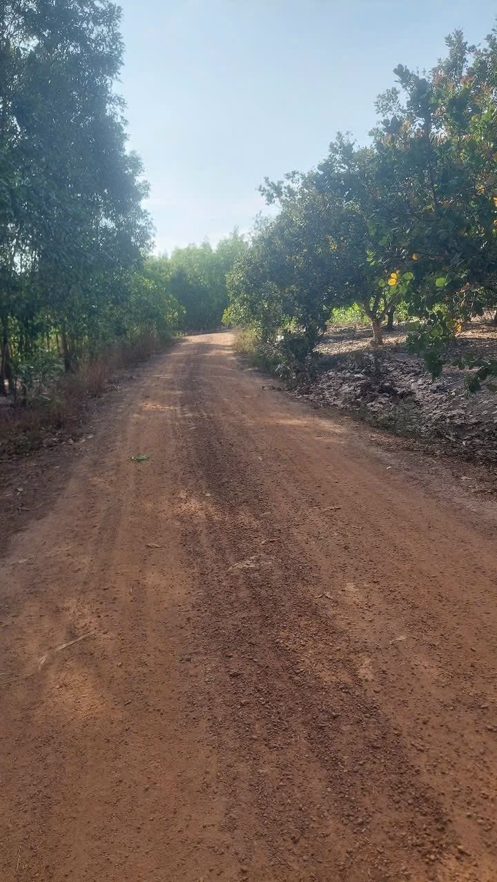 Đất thổ cư 1410m² tại Cô Kiều, Mỹ Lộc - Giá 70.2 tỷ - Pháp lý rõ ràng