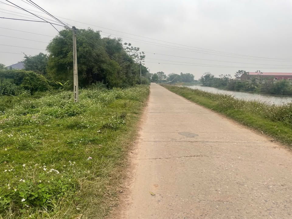 Đất nền xã Xuân Vinh, Huyện Xuân Trường 300m² - Đường rộng ô tô tránh nhau thoải mái!