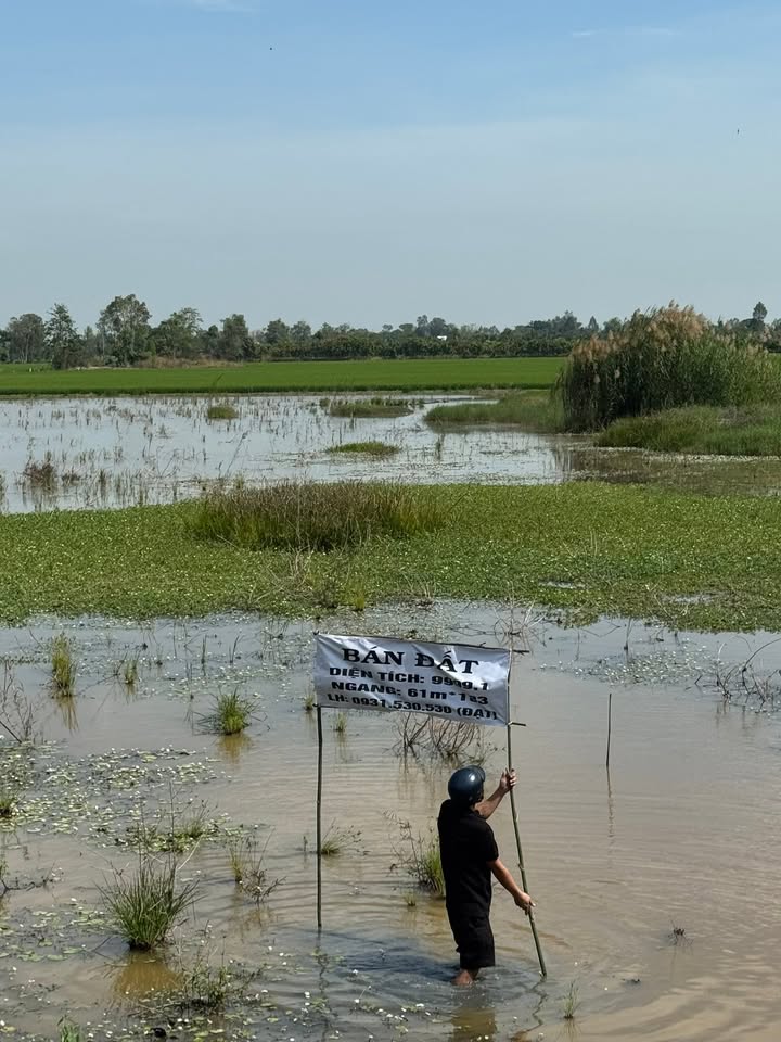 Đất nông nghiệp 1ha tại Xã Phương Trà, Huyện Cao Lãnh - Đầu tư sinh lời ngay!