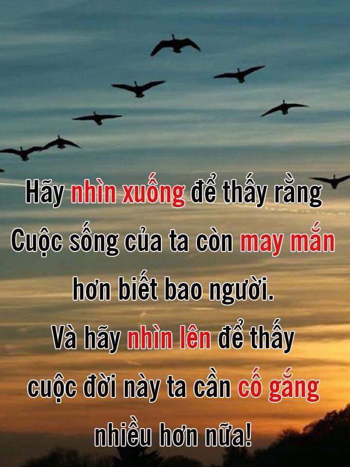 Đất nền 2000m² tại Xã Bình Lợi, Vĩnh Cửu - Phân lô tách thửa, giá 5.7 tỷ!