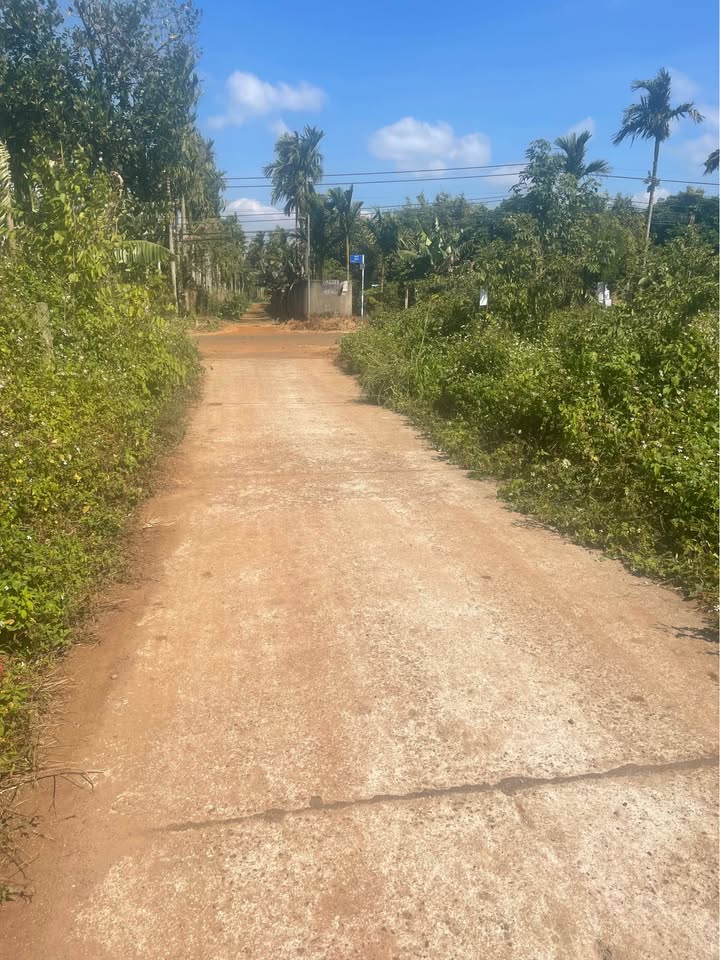 Đất nền đường 10kc, xã Hòa Thuận, 140m² giá 7.5 tỷ - Sẵn sàng giao dịch ngay!