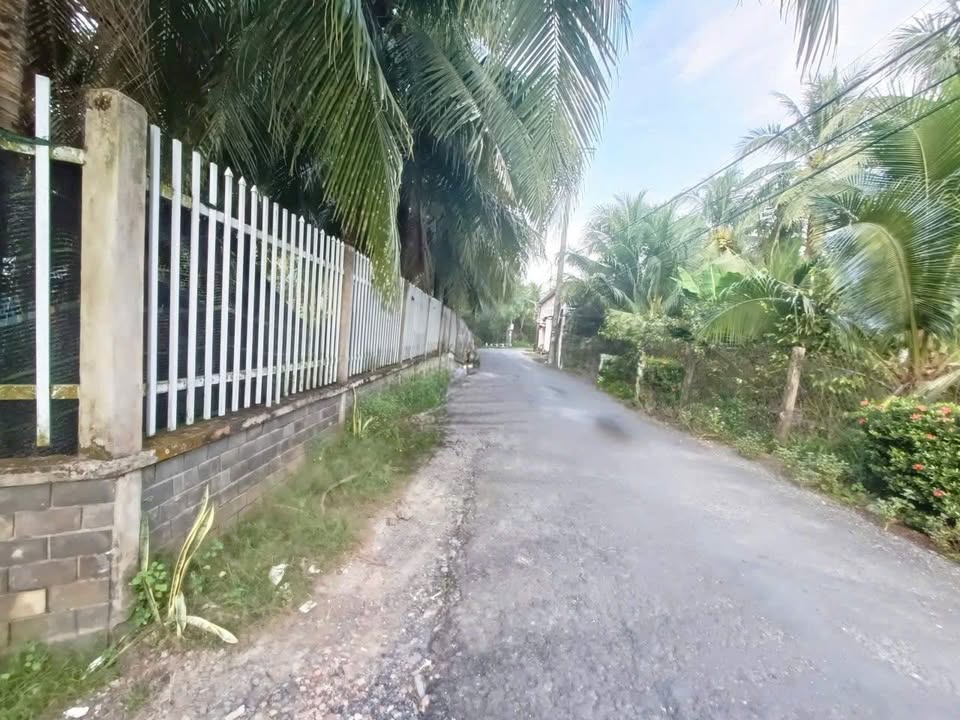 Đất nền Lộ Cơ Khí Bến Tre 701m² giá 2.1 tỷ - Thổ cư 100%