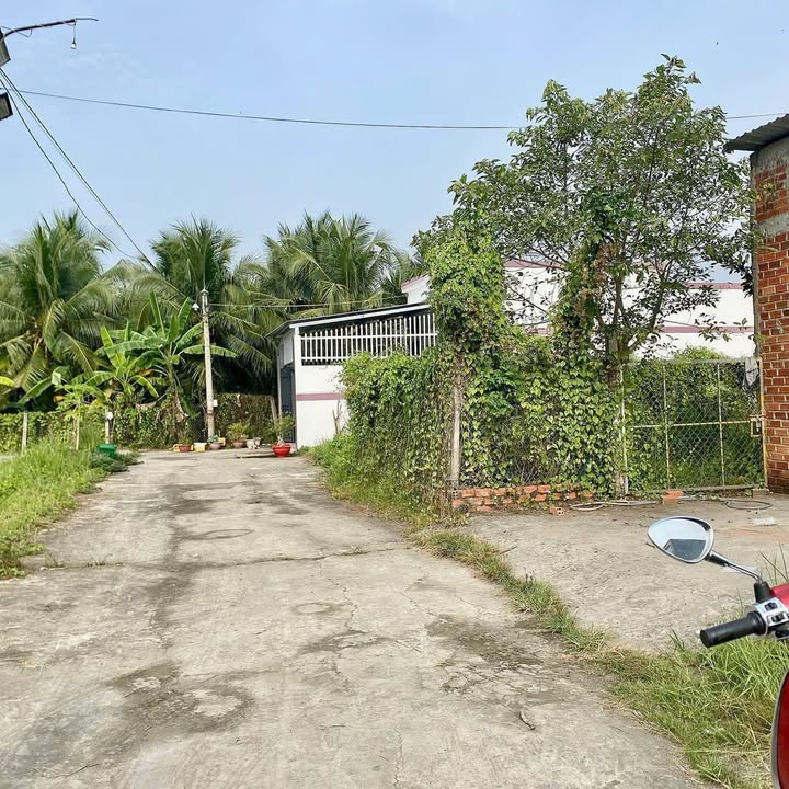 Đất nền liền kề Phường 8, Bến Tre 102m² - Giá chỉ từ 850 triệu!