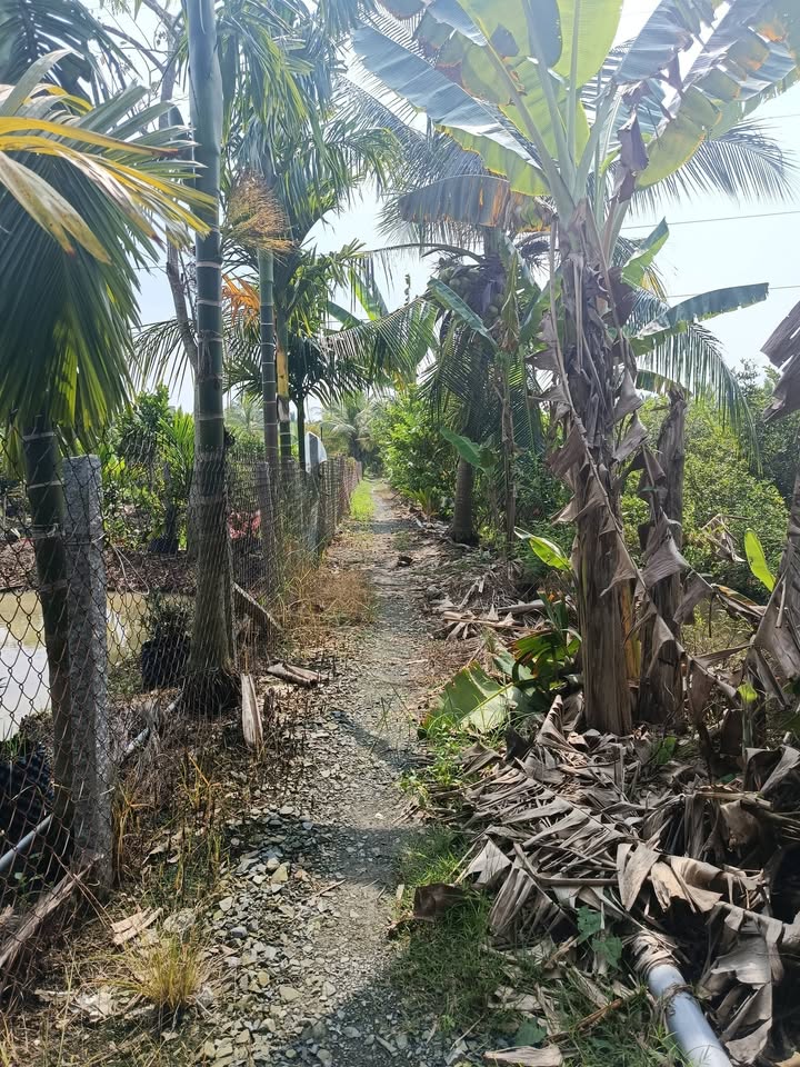 Đất nền đẹp tại Phường 4, Thị xã Cai Lậy, 510m² giá 1.3 tỷ - Đầu tư sinh lời ngay!