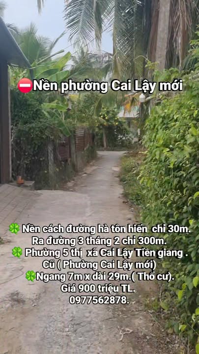 Đất nền phường Cai Lậy, Đồng Tháp 203m² giá 900 triệu - Cơ hội đầu tư hấp dẫn!