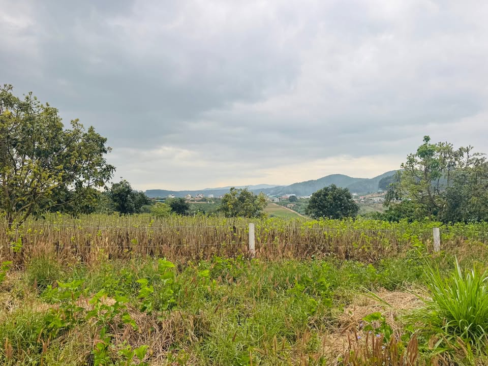 Đất nền Lâm Hà 999m² giá 2.25 tỷ - View suối Cam Ly, không khí mát lành!