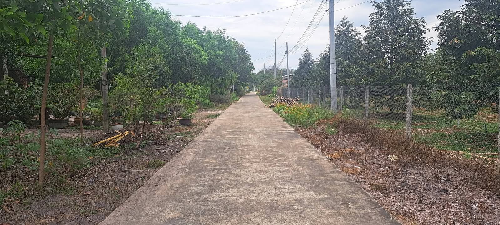 Đất liền kề tại Phường Minh Thành, Thị xã Chơn Thành, 250m² - Cơ hội đầu tư tuyệt vời!