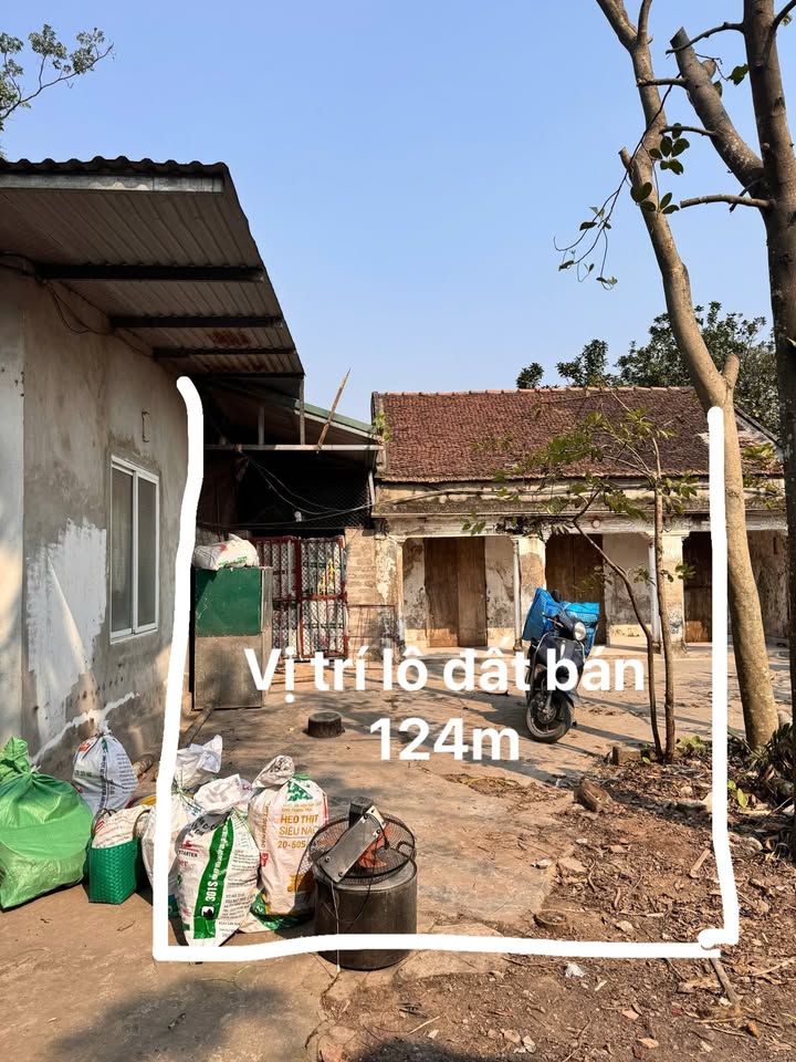 Đất thổ cư 124m² tại Xã Hương Sơn, Huyện Mỹ Đức - Vị trí thuận lợi, giá thỏa thuận!