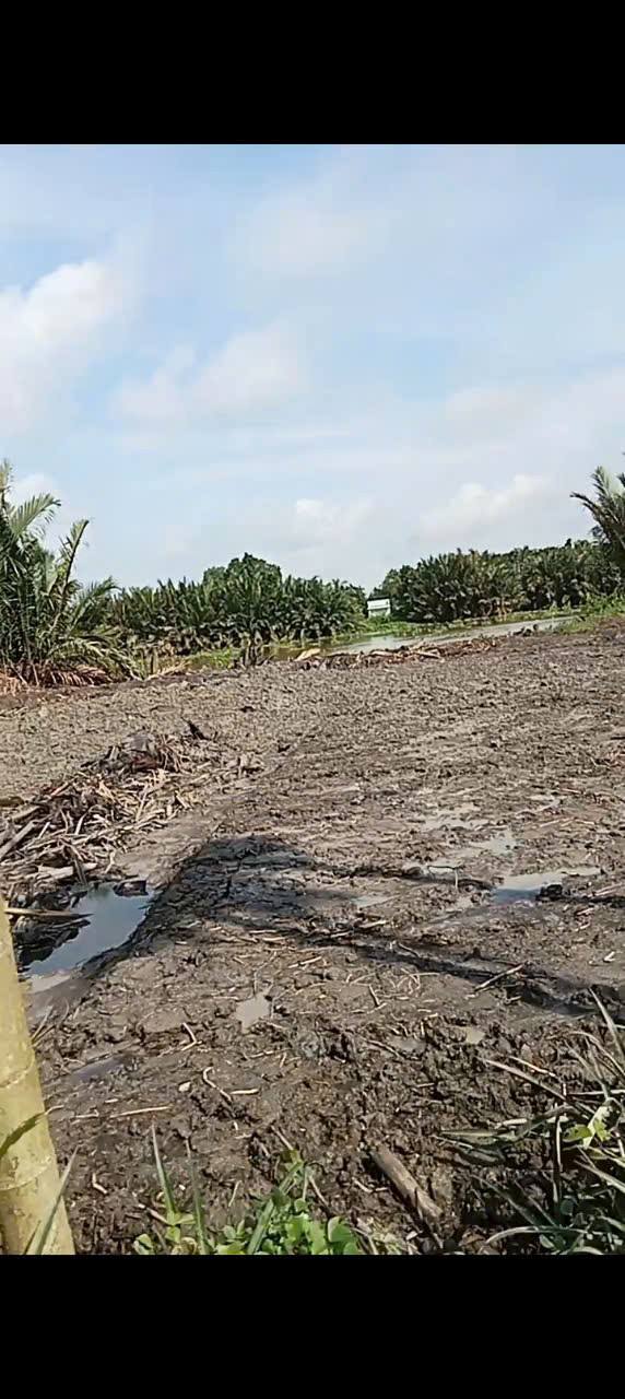 Đất Cặp Sông Cái Bé, Cần Thơ 756m² giá 900 triệu - Đầu tư sinh lời ngay!