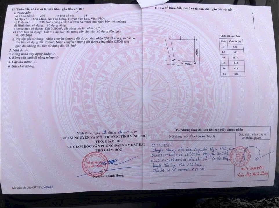 Đất Yên Đồng, Yên Lạc 238m² giá 2 tỷ - Đường ô tô thông thoáng, pháp lý rõ ràng!