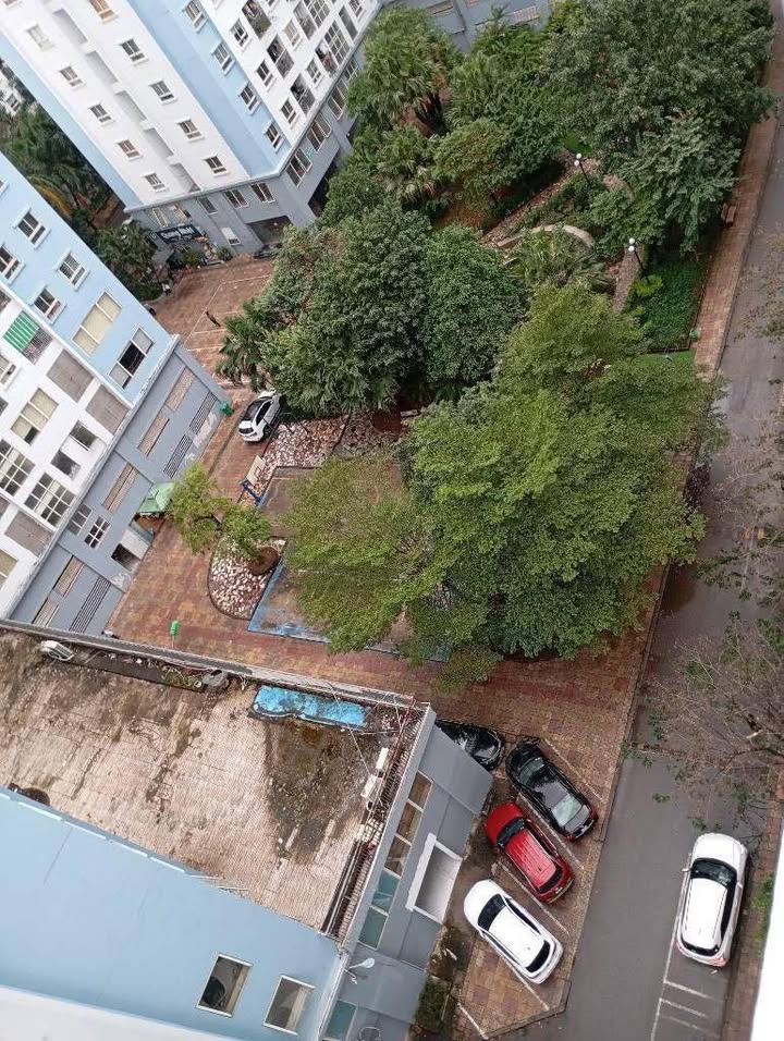 Căn hộ Ecohome Đông Ngạc 70m² giá 4.65 tỷ - Sổ hồng chính chủ, sang tên ngay!