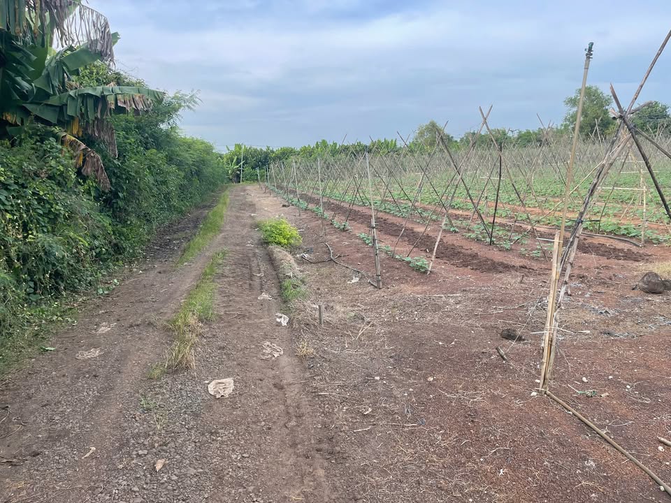 Đất nền 360m² tại Xã Xuân Bắc, Huyện Xuân Lộc - Giá chỉ 340 triệu VND!