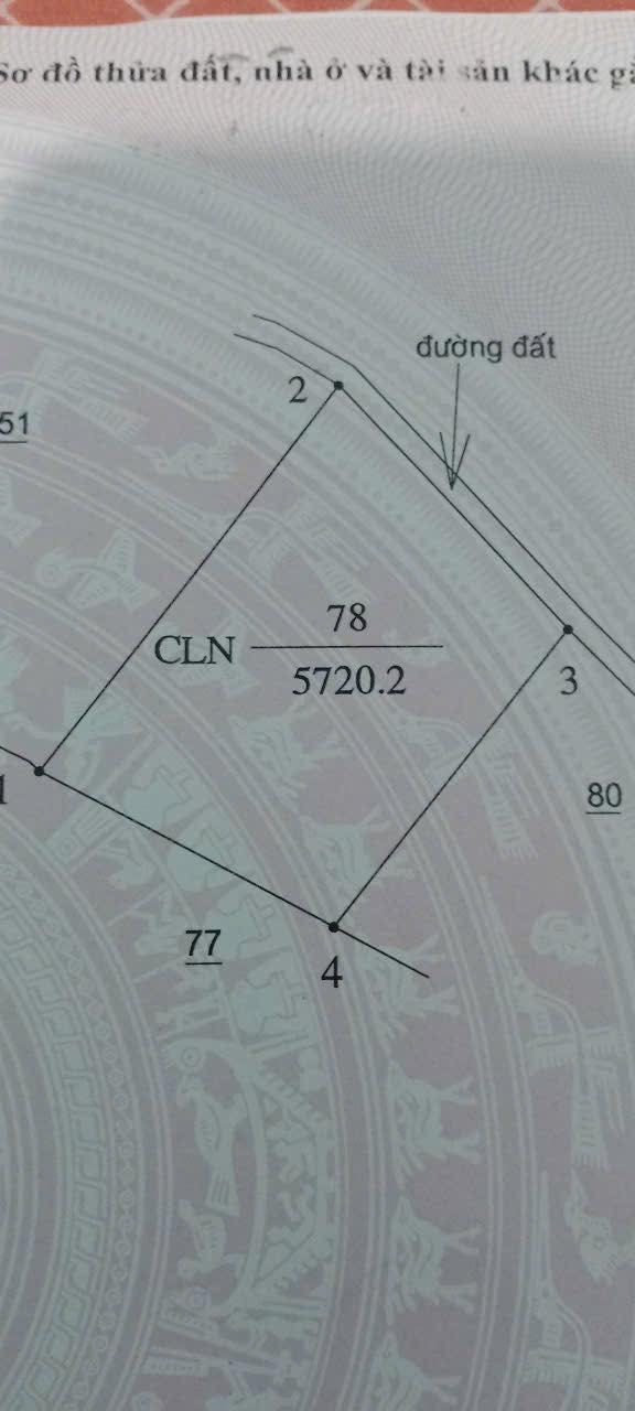 Đất thổ cư xã Thuận Hạnh, huyện Đắk Song 20520m² giá 550 triệu - Sổ hồng đầy đủ!